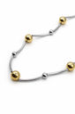 COLLAR CHAPA 253