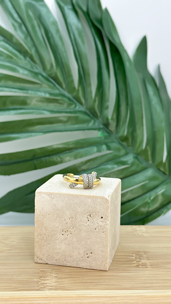 [AN-CH-196] ANILLO CHAPA 196