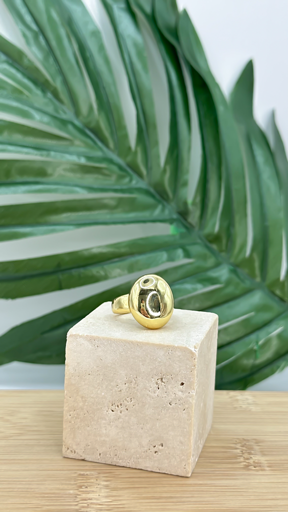 [AN-CH-363] ANILLO CHAPA 363