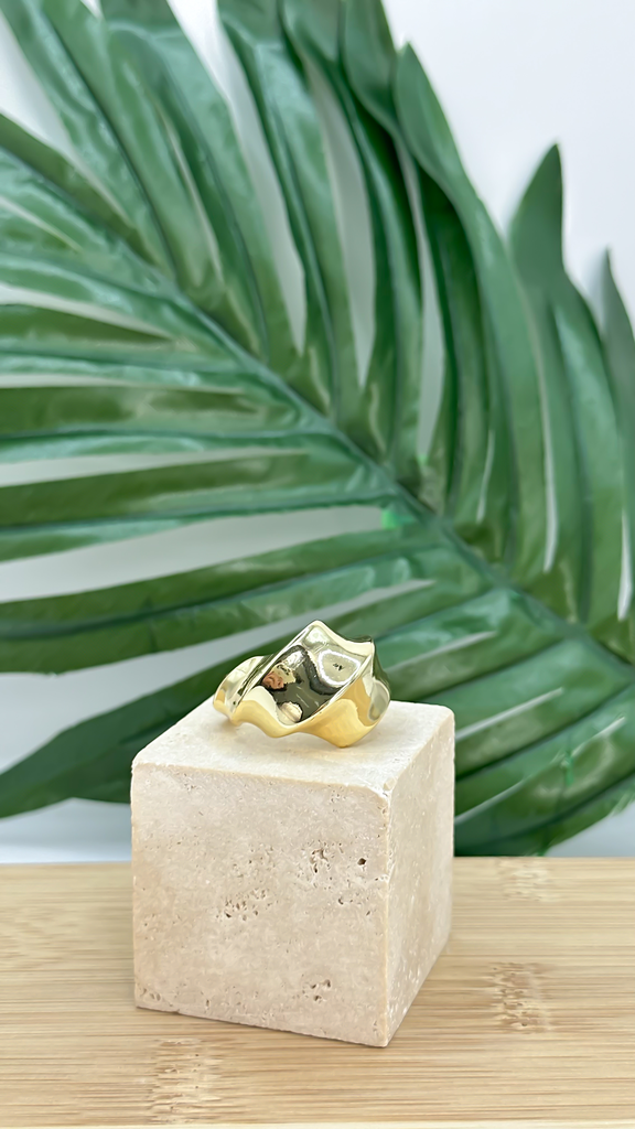 [AN-CH-454] ANILLO CHAPA 454