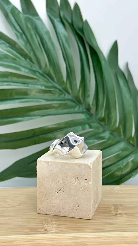 [AN-CH-455] ANILLO CHAPA 455