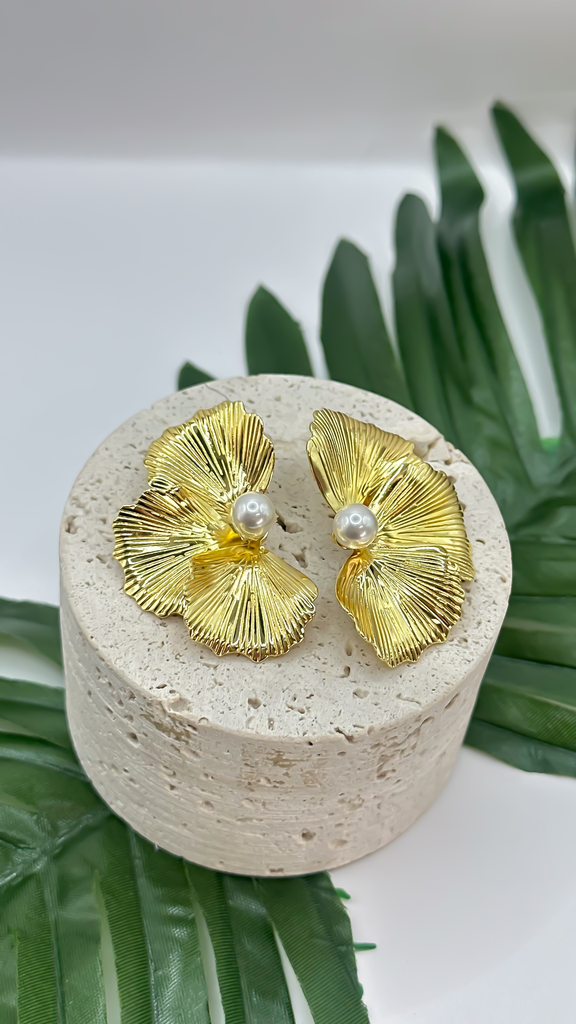 [AR-CH-A13] ARETE CHAPA A  13