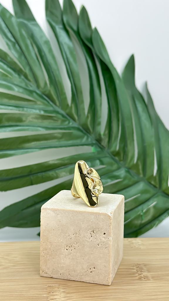 [AN-CH-174] ANILLO CHAPA 174